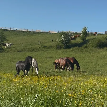 Nowe Papużkowo Gospodarstwo wiejskie